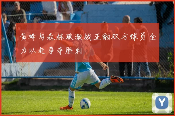 黄蜂与森林狼激战正酣双方球员全力以赴争夺胜利
