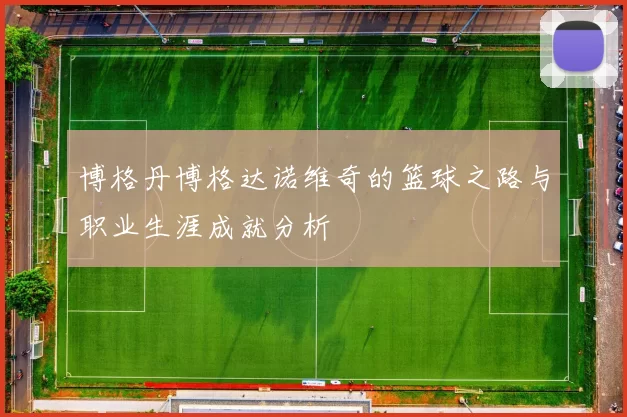 博格丹博格达诺维奇的篮球之路与职业生涯成就分析